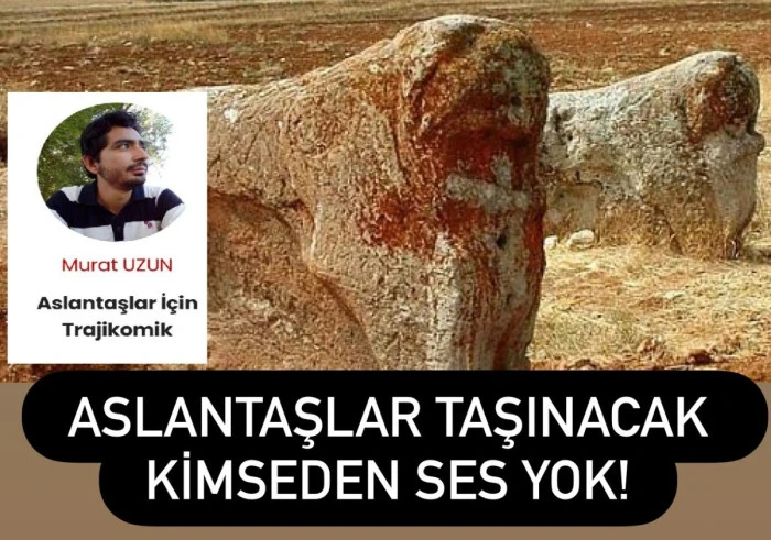Aslantaşlar İçin Trajikomik Çözüm!