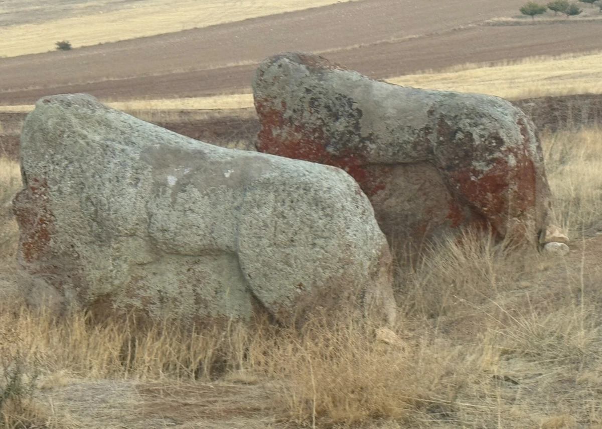Aslantaşlar ne olacak?