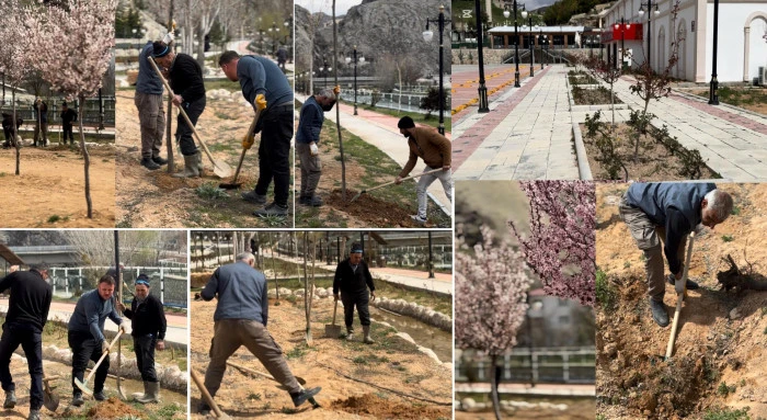 Belediyeden Dev Yeşil Hamle