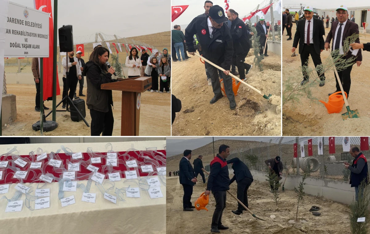 Çevre ve hayvanlar için 1000 fidan