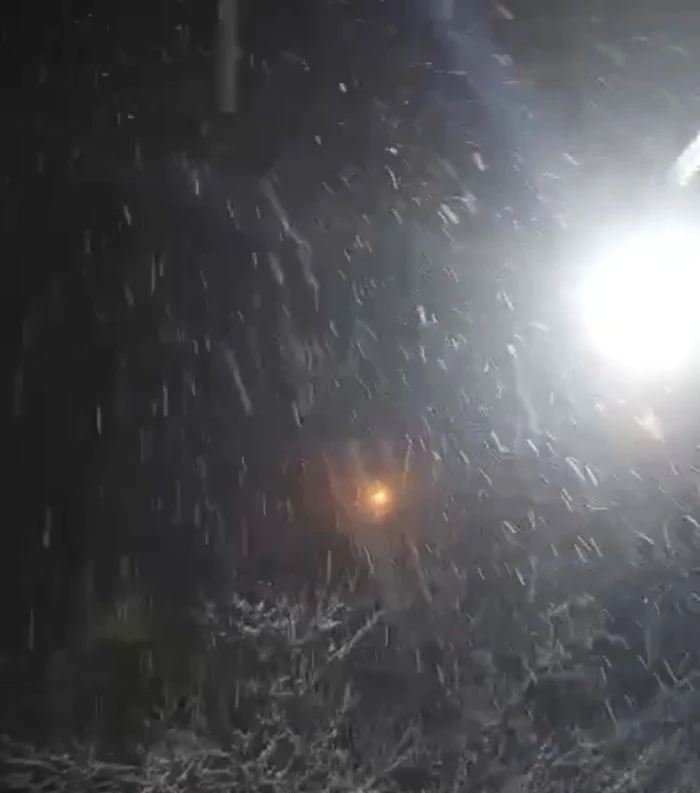 &Ccedil;i&ccedil;eklere Kar Yağdı