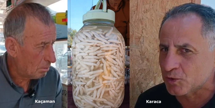 Dağlardan Başlayan Hikaye Dünyaya Açılıyor