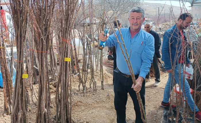 Fidanlar Toprakla Buluşuyor