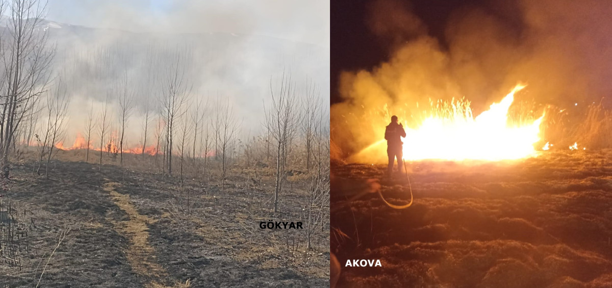 Gökyar ve Akova’da yangın