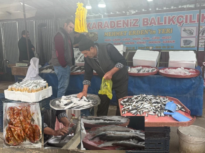 Hamsi–Somun Kapış Kapış!