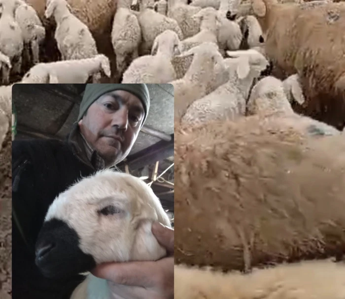 Kar Altında Ekmek M&uuml;cadelesi