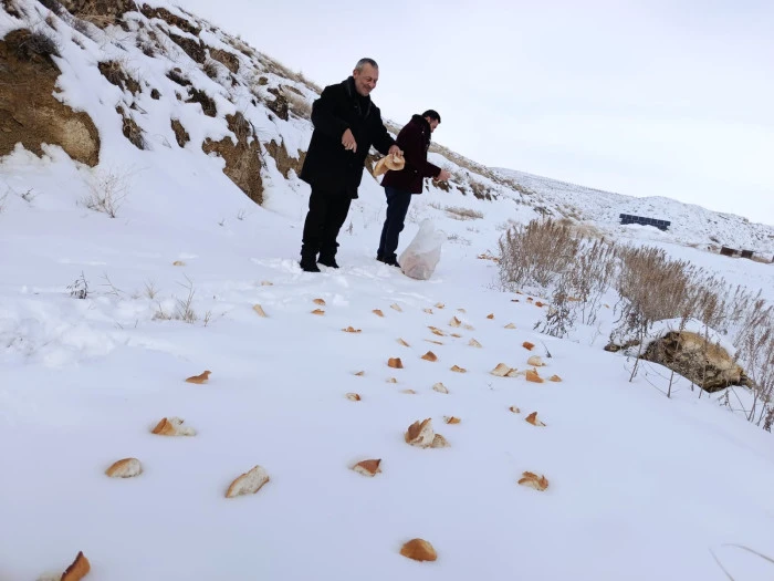 Kış Sert, Vicdan Sıcak