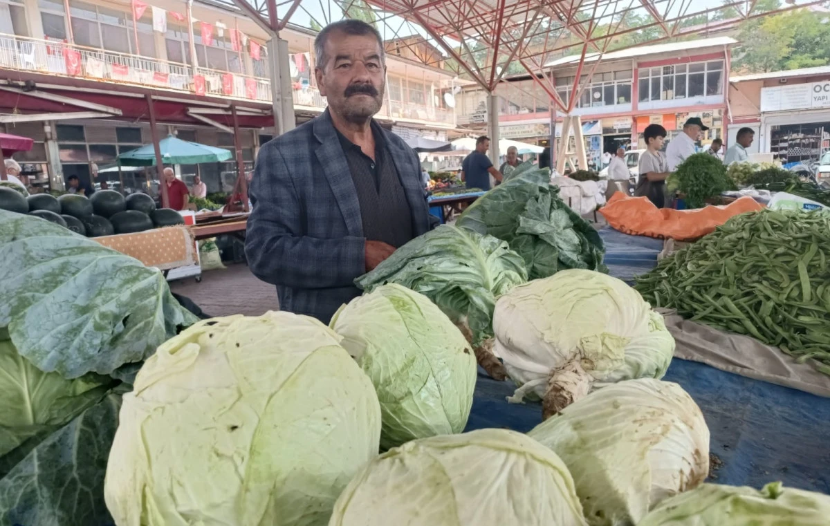 Tezgahların Kralı Lahana, Pazara İndi