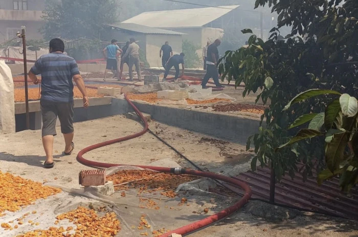Yeşiltaş&rsquo;ta Korkutan Yangın