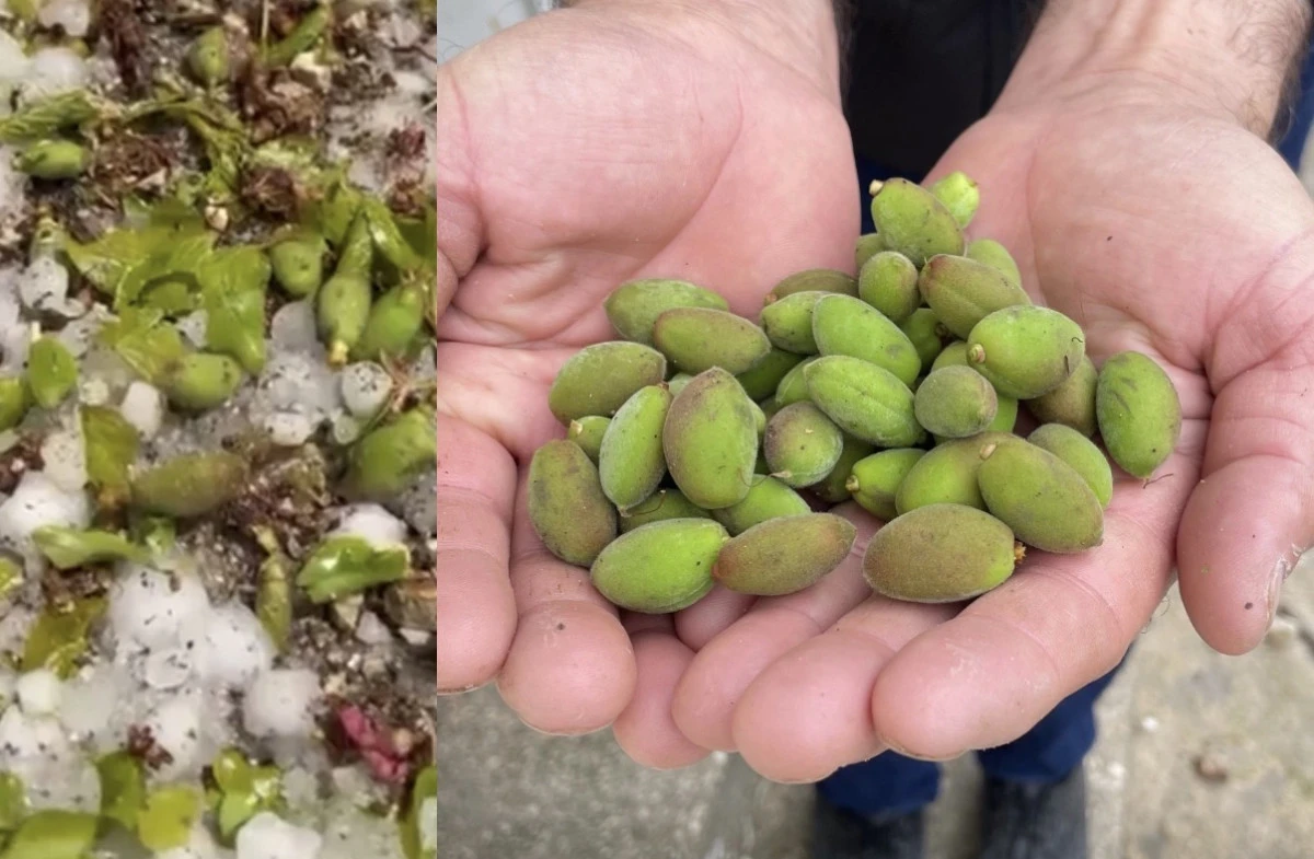 Zarar Var Ama &Ouml;deyen Yok!