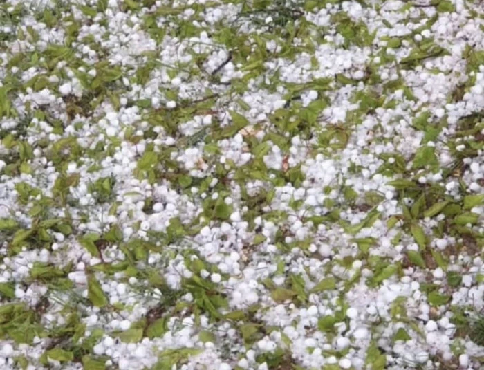 Zarar Var Ama &Ouml;deyen Yok!