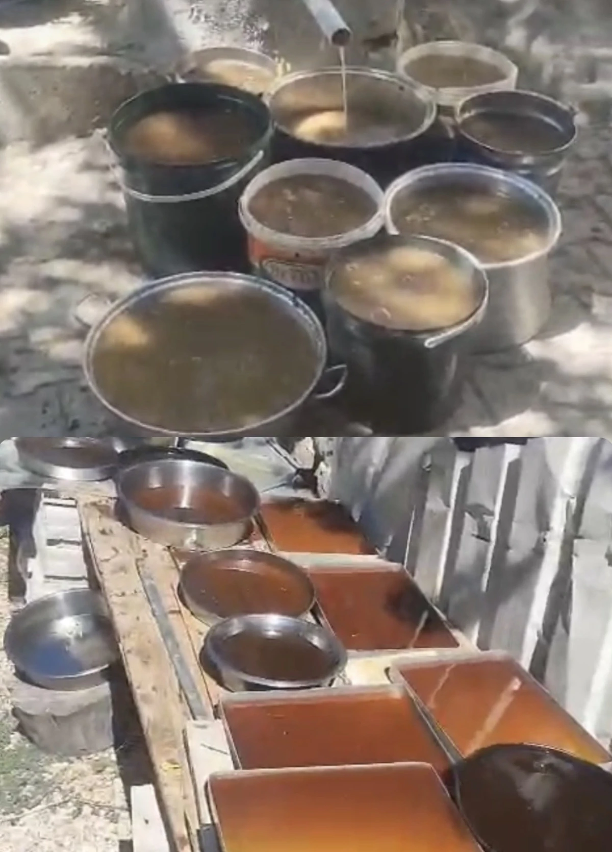 Pekmez Kazanları Kaynıyor