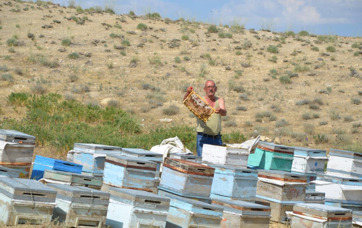 Bal Az Olunca Fiyatlar Arttı