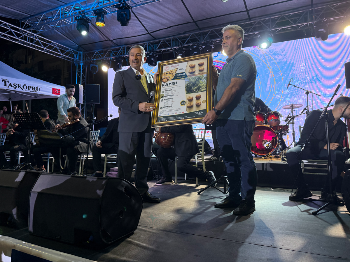 Alişan konserinde yağmura rağmen 5 bin kişi