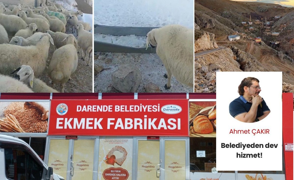 Belediyeden dev hizmet!