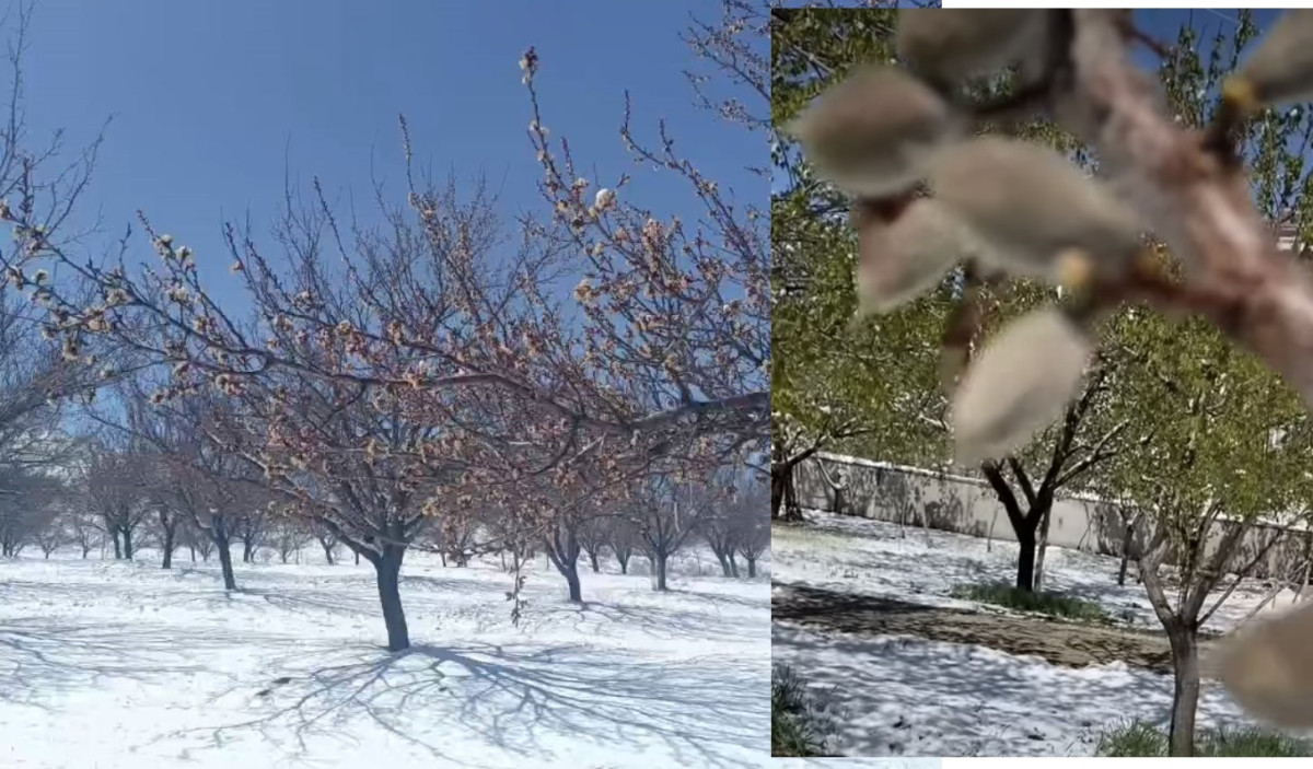 Çakır: Sigortalı Sigortasız Ayrımı Yapılmamalı