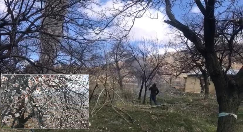 Darende hangi mevsimi yaşıyor?