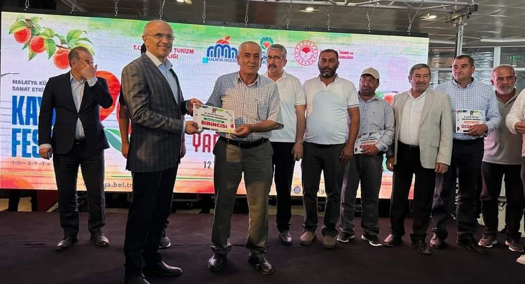 En iyi kayısı Balaban’dan