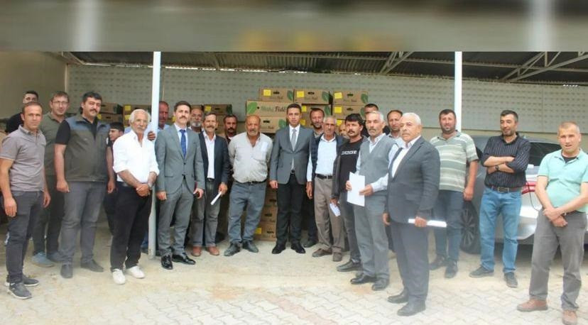 Hibe destekli fide, dağıtıldı
