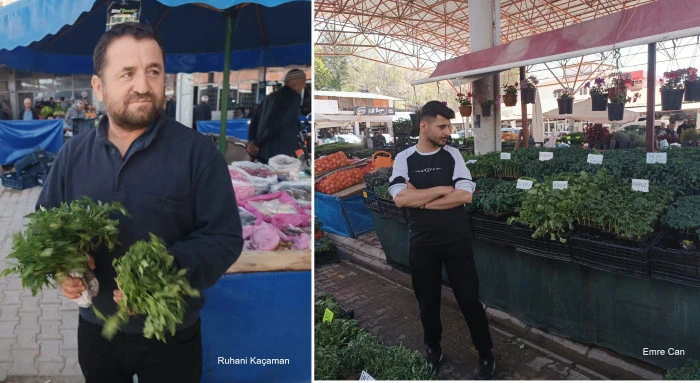 Kayısı yandı umut sebzede
