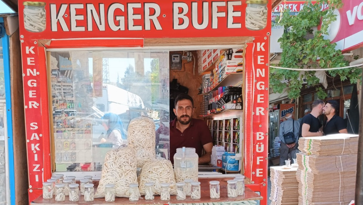 Kenger sakızı kendini çiğnetmeyecek!