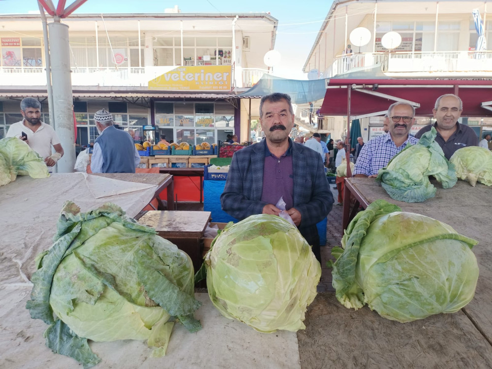 Lahana 80 liradan  tezgahlara indi