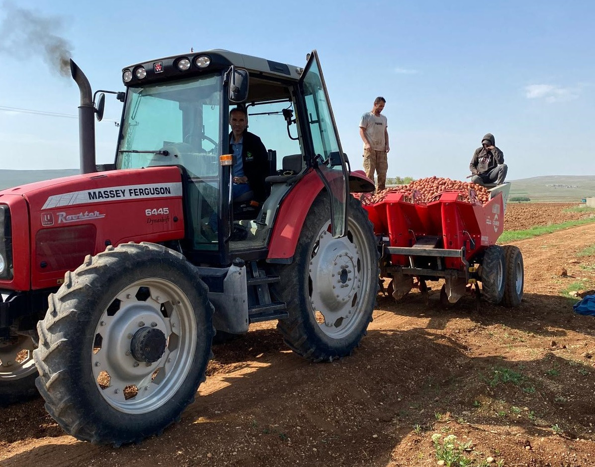 Palanga’da hedef 10 bin ton patates