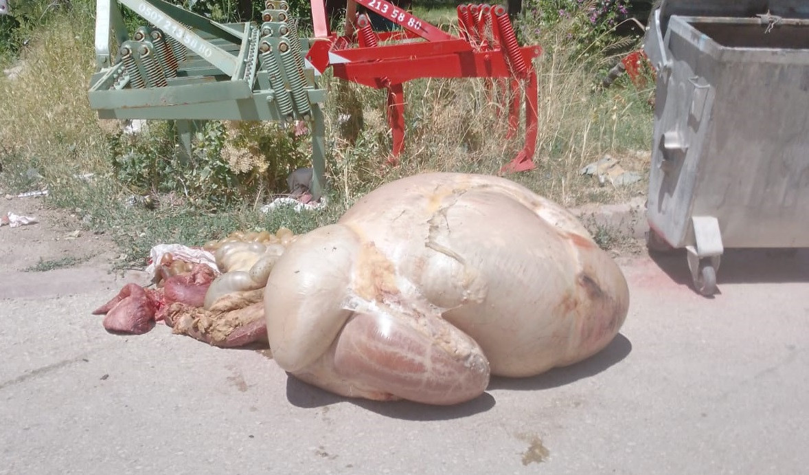 Temizlik görevlilerinin de bayramı