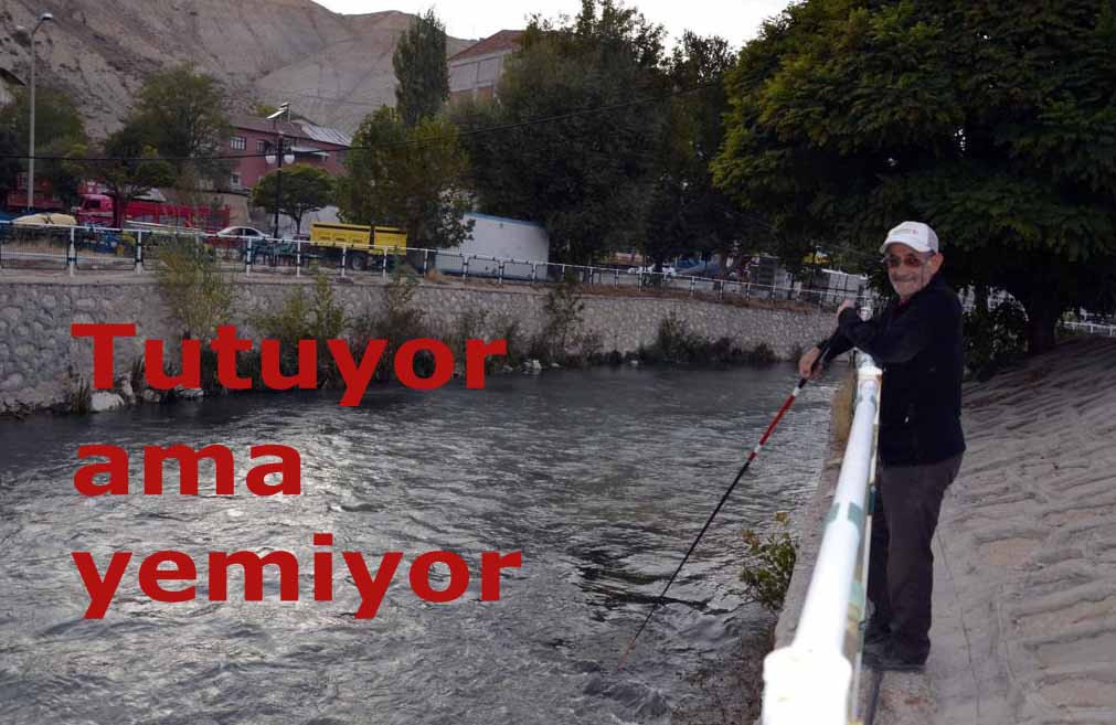 Tutuyor ama yemiyor