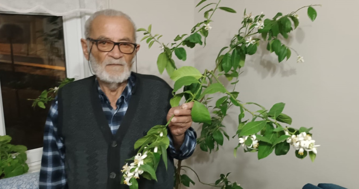 Yetiştirdiği limon huzur veriyor